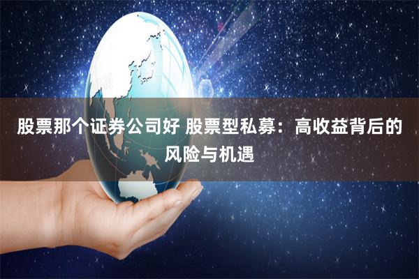 股票那个证券公司好 股票型私募：高收益背后的风险与机遇