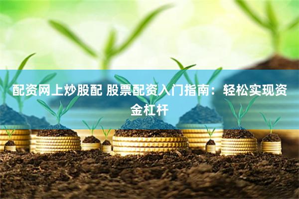 配资网上炒股配 股票配资入门指南：轻松实现资金杠杆