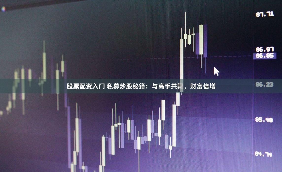 股票配资入门 私募炒股秘籍：与高手共舞，财富倍增