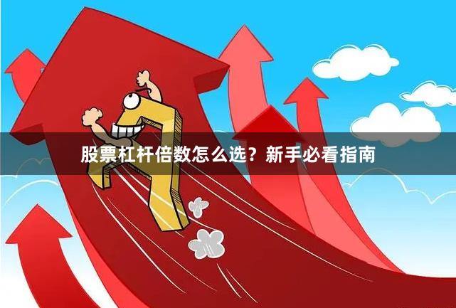 股票杠杆倍数怎么选？新手必看指南