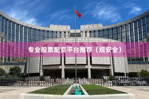 专业股票配资平台推荐(规安全)